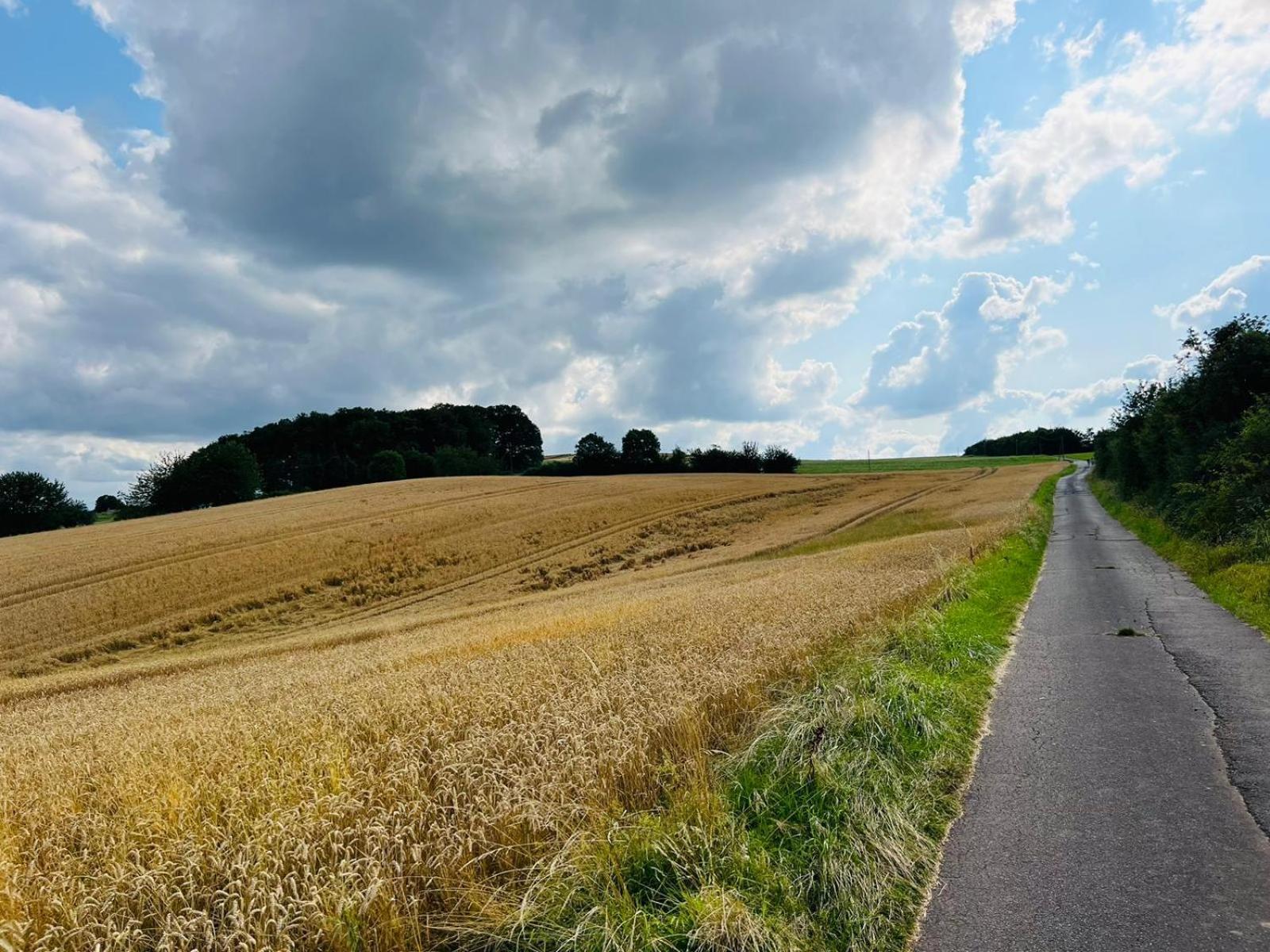 Ferienwohnung In Der Schoenen Eifel! Mechernich Exteriér fotografie