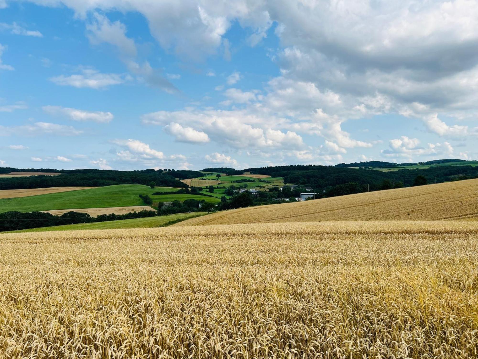 Ferienwohnung In Der Schoenen Eifel! Mechernich Exteriér fotografie